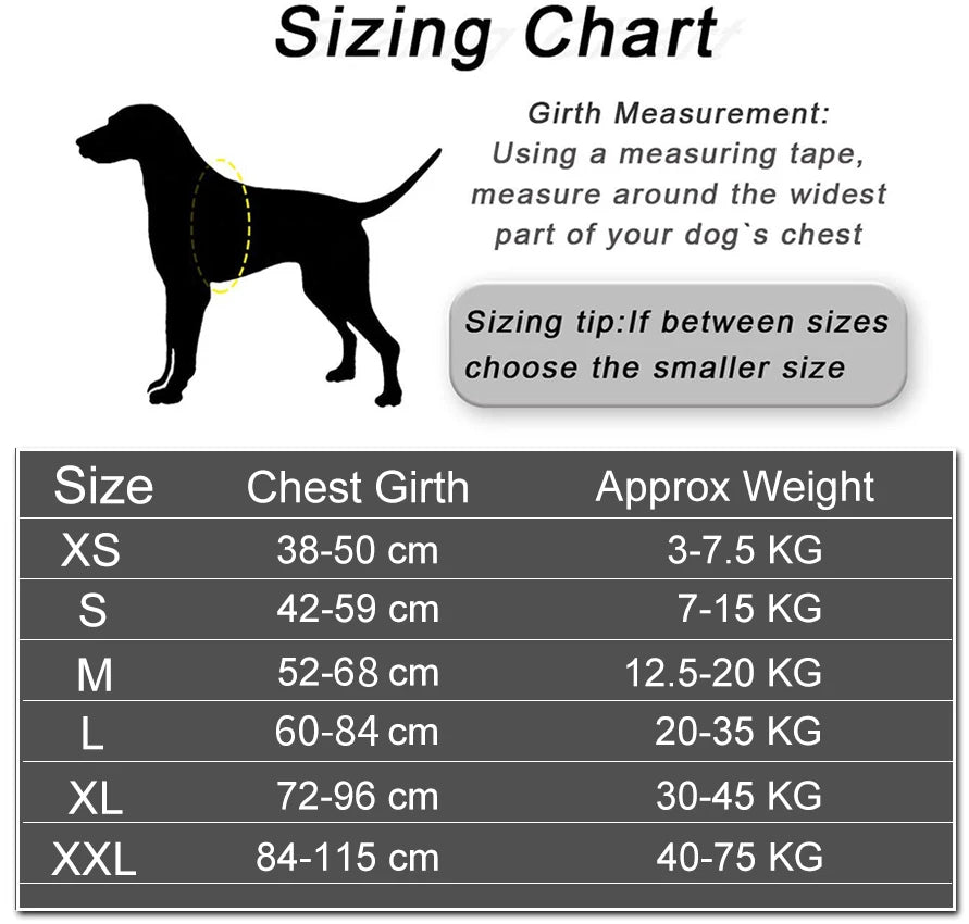 Dog Harness Vest with ID Patch, Customized Reflective Adjustable No-Pull Pet Harness for Outdoor Walking, Breathable Vest for Dogs