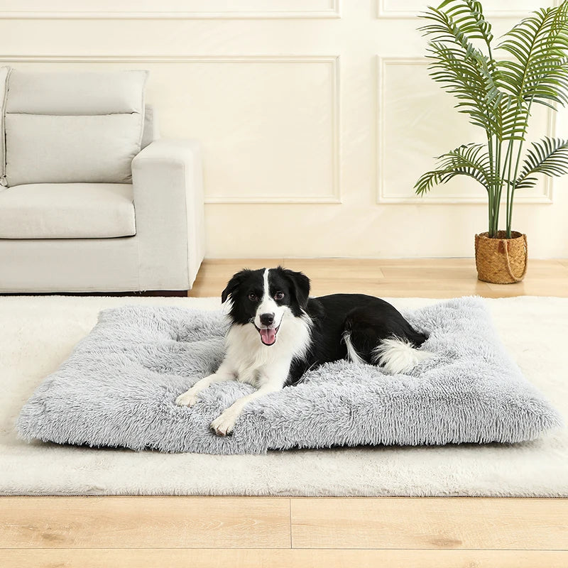 Soft Plush Donut Pet Bed for Dogs and Cats, Anti-Slip Bottom, Cozy Calming Pet Cushion, Removable Washable Cover