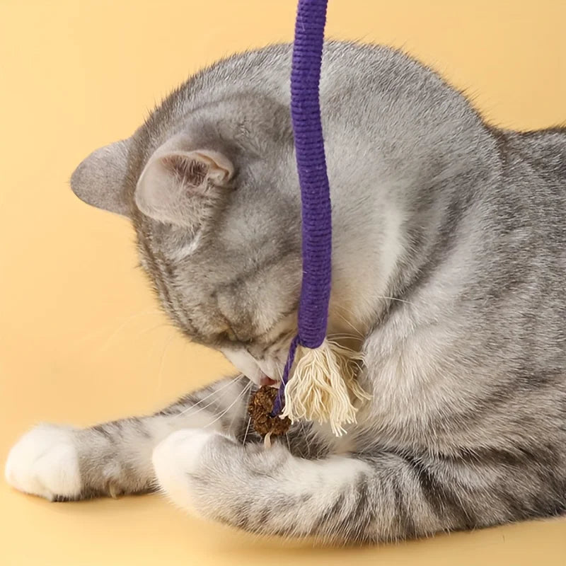 Cat Bite Rope Toy, Durable Rope Teaser Toy for Cats, Teeth Grinding and Chewing Toy for Indoor Play