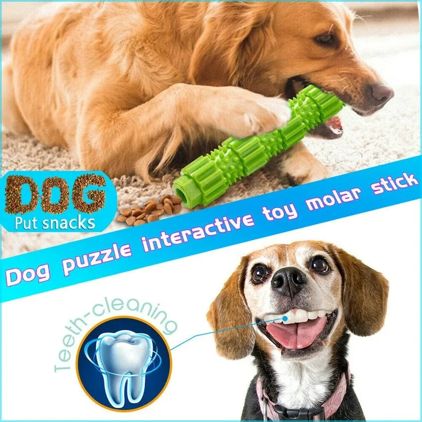 Pet Dog Chew Toy for Aggressive Chewers, Treat Dispensing Rubber Squeaky Toy for Teeth Cleaning and Dental Care, Durable Interactive Toys for Dogs