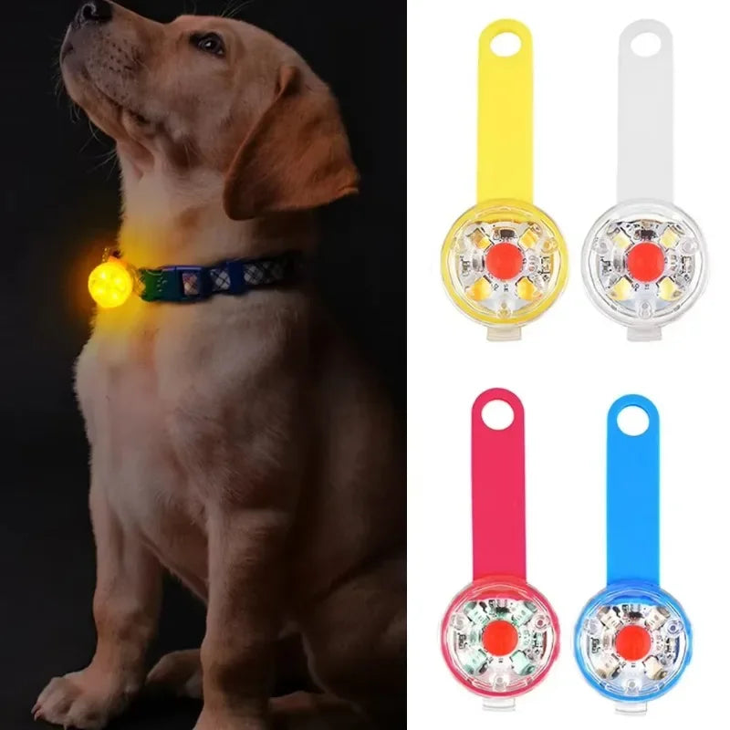LED Dog Collar with Weatherproof Safety Light, USB Rechargeable Pet Loss Prevention Collar for Dogs and Cats, Night Visibility