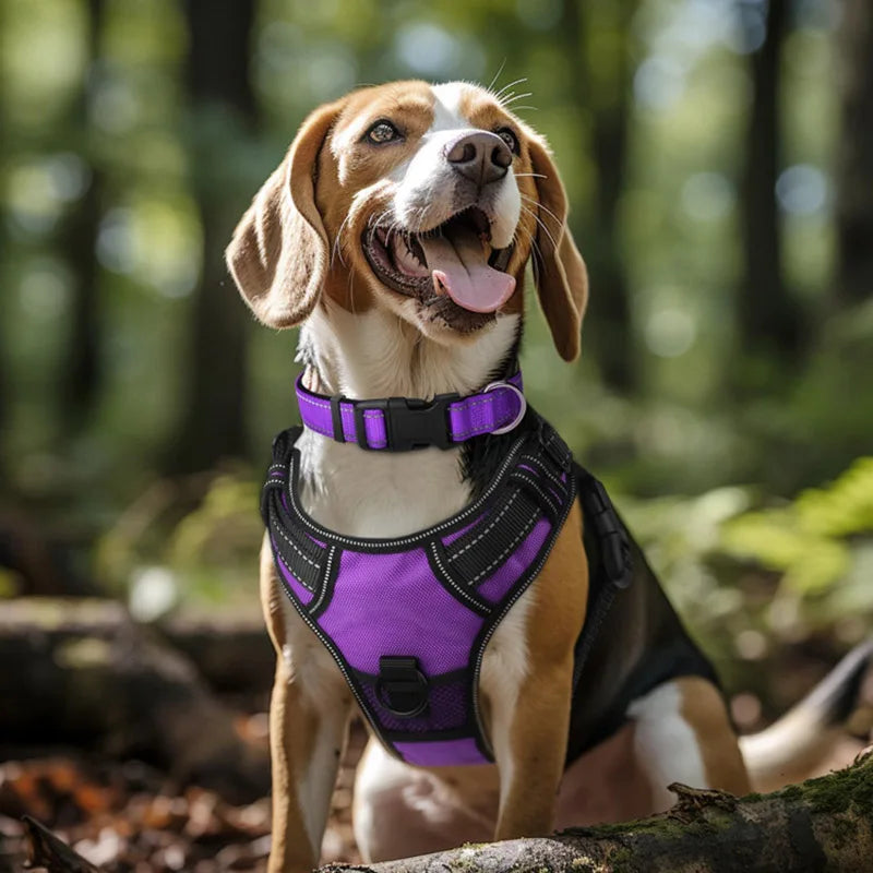 Reflective Dog Collar, Sturdy Adjustable Nylon Pet Collar with Soft Neoprene Padding for Medium and Large Dogs