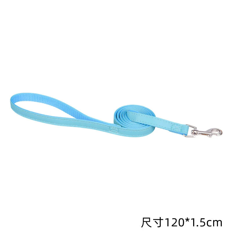 120cm Pet Leash, PU Leather and Padded Nylon Dog Training Rope Lead for Dogs and Cats, Walking Leash for Puppies, Available in Blue, Black, Red, and Pink
