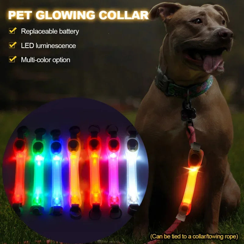 Waterproof LED Dog Collar with Glowing Safety Light, Multi-Color Pendants, Night Visibility Pet Collar for Outdoor Use