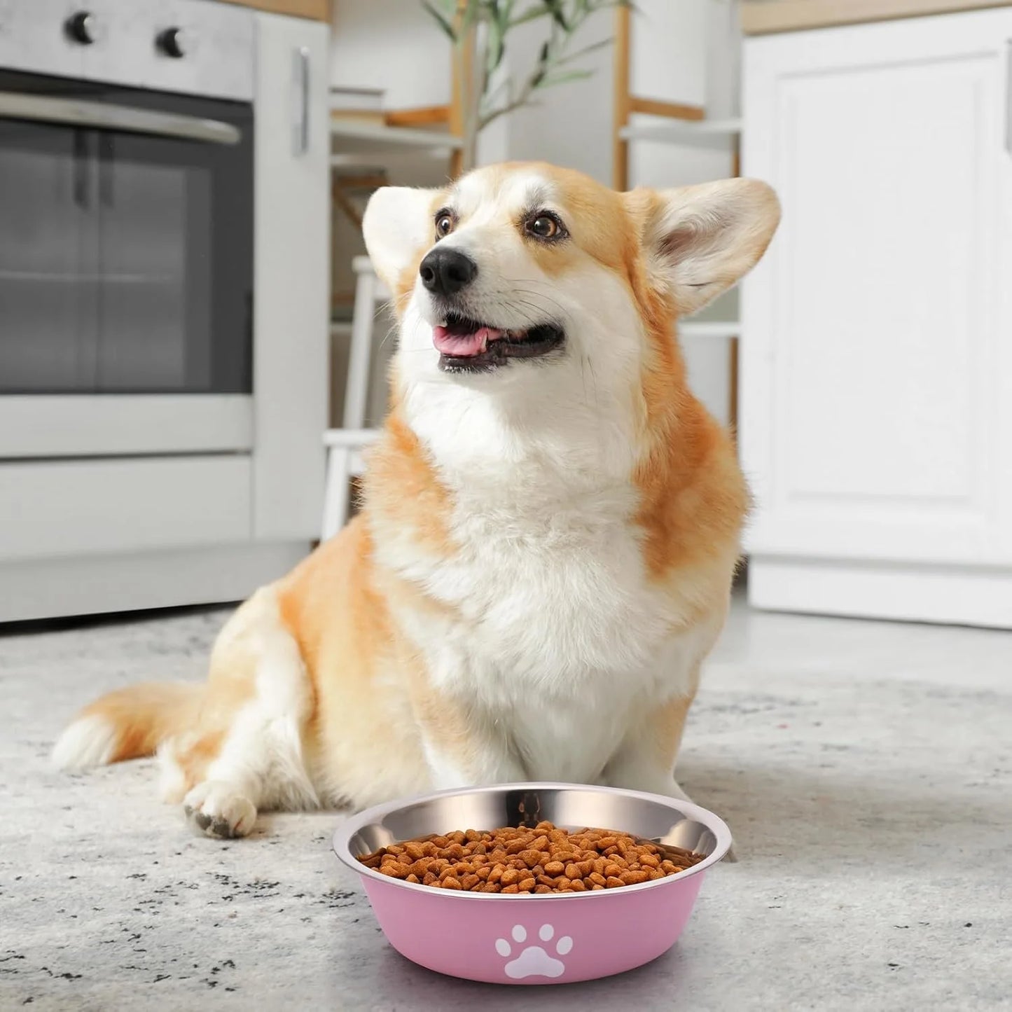 Stainless Steel Dog Bowl – Non-Slip Silicone Base, Pet Food & Water Dish for Dogs & Cats, Durable Feeding Bowl