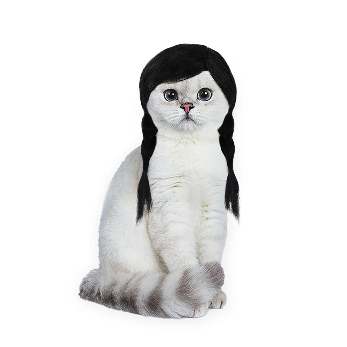 Pet Double Ponytail Wig, Black Cosplay Costume Wig for Cats and Dogs, Holiday Party Festival Cute Pet Dress-Up Accessory