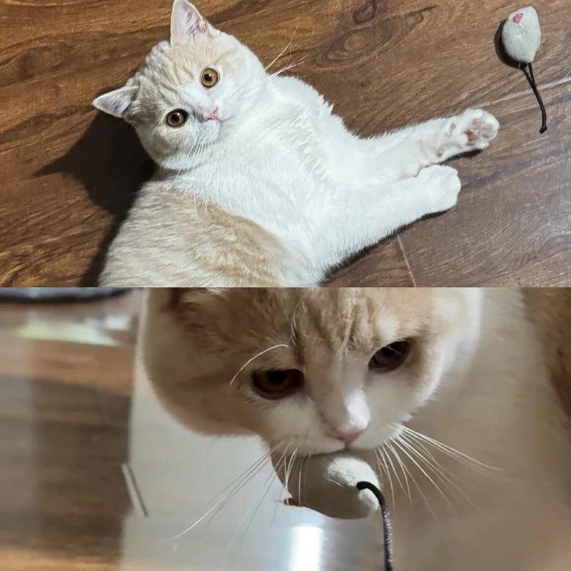 Interactive Cat Toy Mouse with Catnip – Plush Bite-Resistant, Scratch-Proof, Rattle Toy for Cats & Kittens