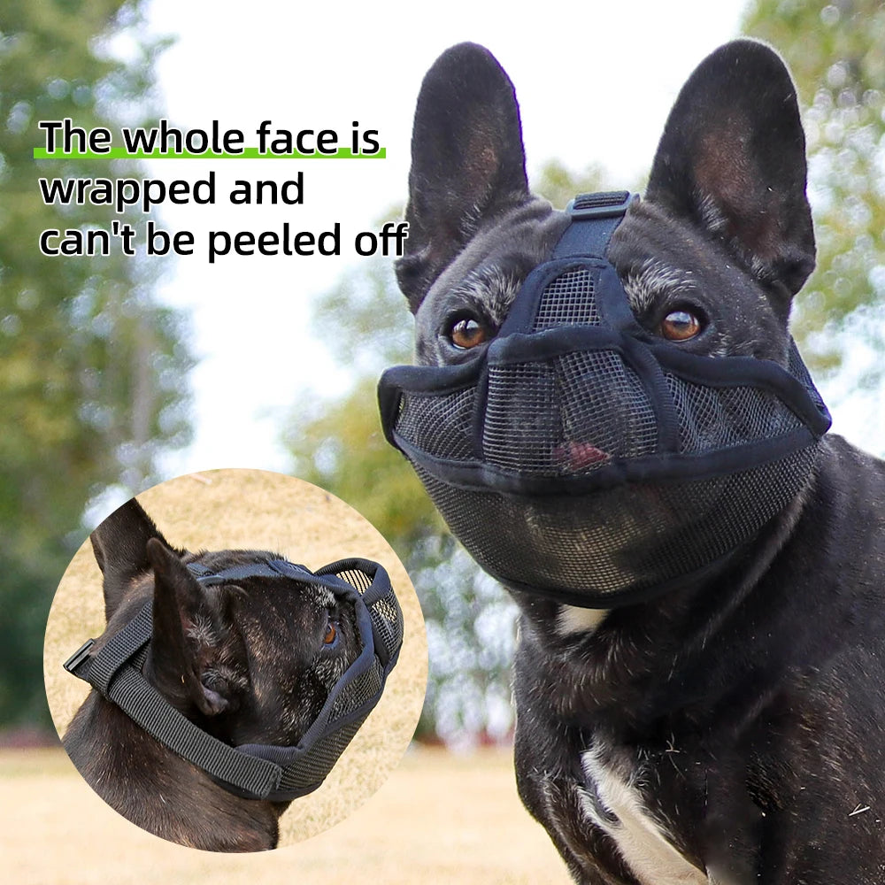 Short-Snouted Dog Muzzle – Breathable Anti-Biting Snout Cover for Bulldogs, Shar Pei, Short-Mouthed Dogs, Walking & Drinking