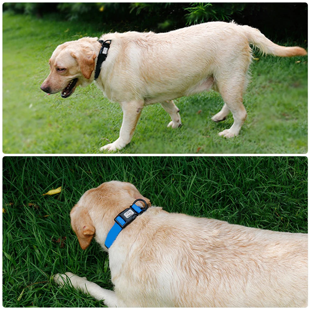 PVC Waterproof Dog Collar, Soft Adjustable Pet Collar for Small Medium and Large Dogs and Big Cats