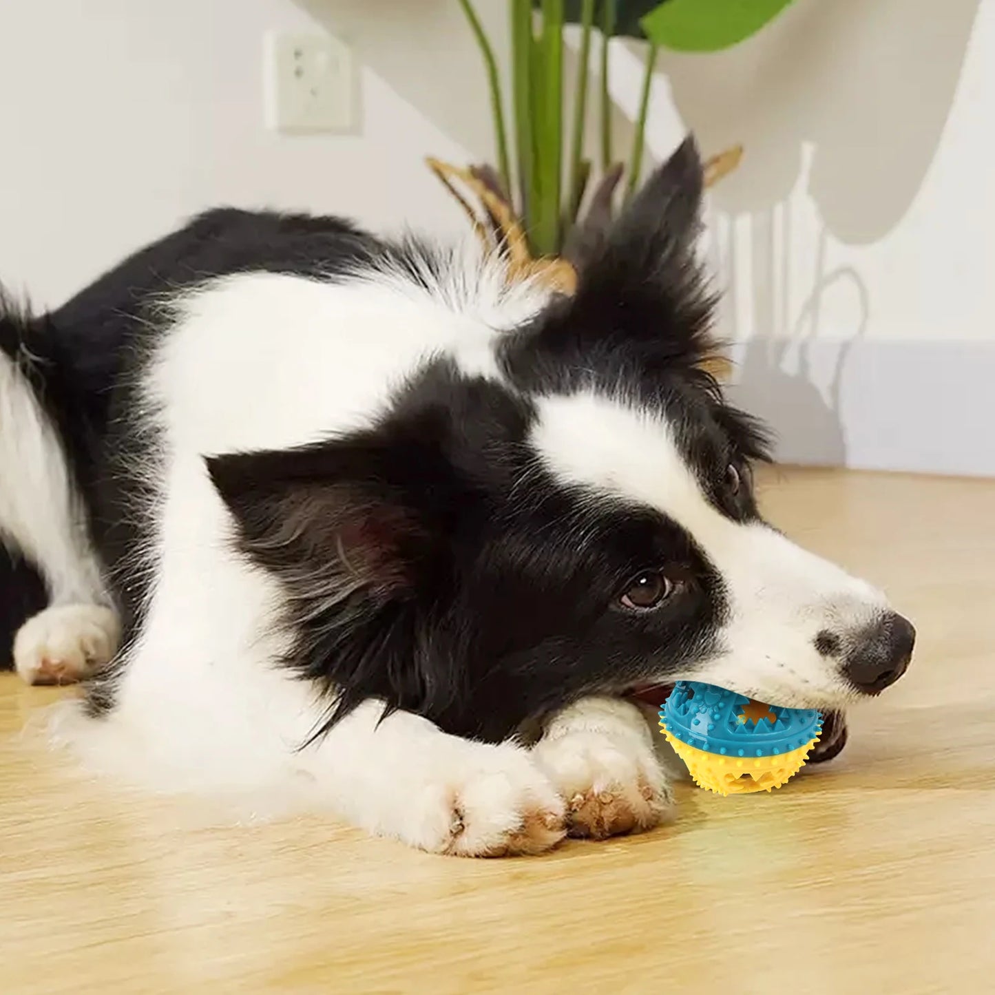 Dog Chew Treat Ball, Food Dispensing Pet Toy for Teeth Cleaning and Grinding, Rubber Treat Feeder for Dogs and Cats