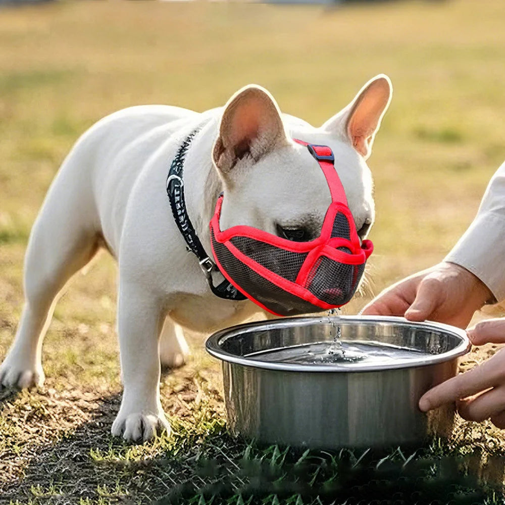 Short-Snouted Dog Muzzle – Breathable Anti-Biting Snout Cover for Bulldogs, Shar Pei, Short-Mouthed Dogs, Walking & Drinking