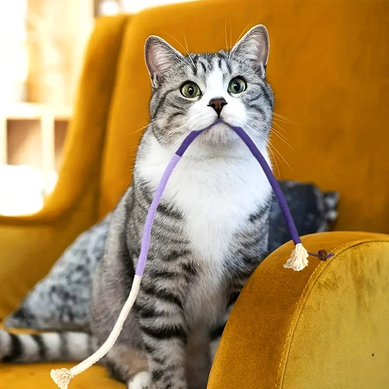 Cat Bite Rope Toy, Durable Rope Teaser Toy for Cats, Teeth Grinding and Chewing Toy for Indoor Play