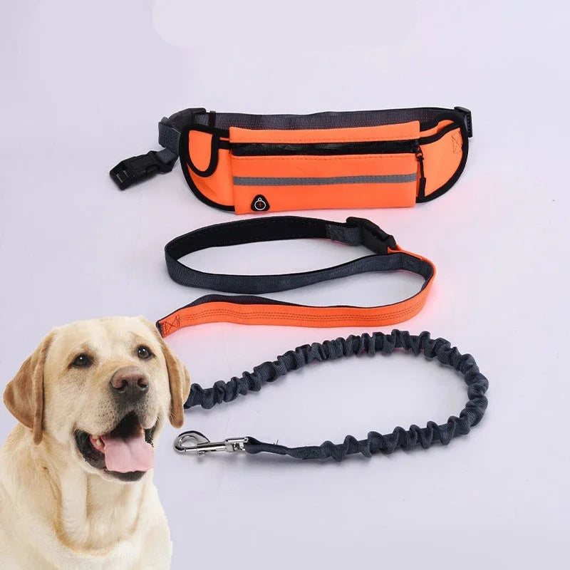 Hands Free Dog Leash for Running and Walking, Reflective Retractable Elastic Belt with Waist Bag, Adjustable Dog Traction Rope Pet Lead