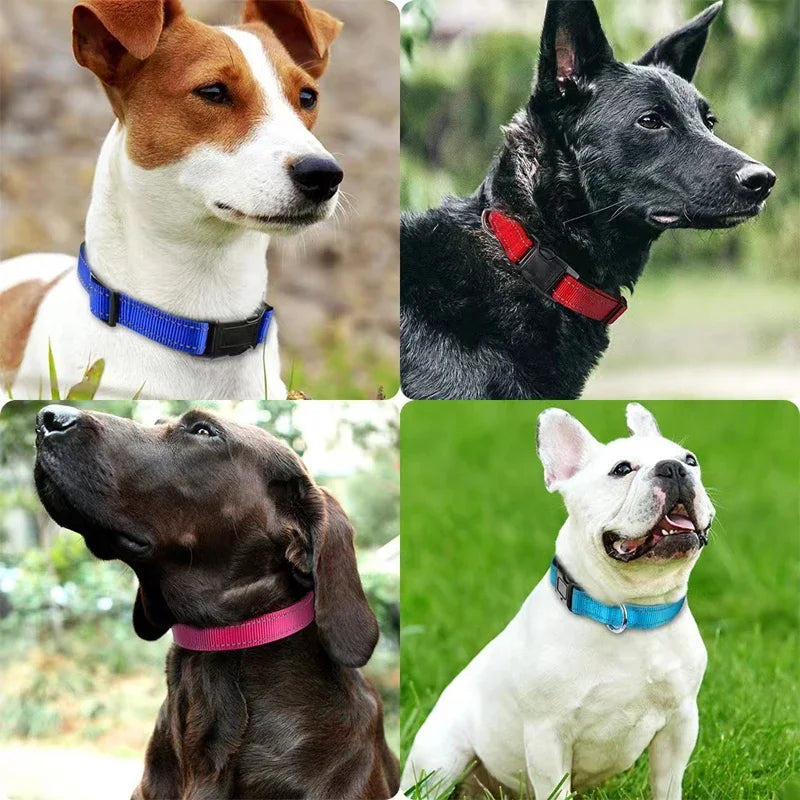 Reflective Dog Collar, Sturdy Adjustable Nylon Pet Collar with Soft Neoprene Padding for Medium and Large Dogs