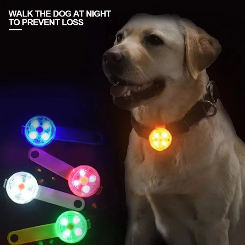 LED Dog Collar with Weatherproof Safety Light, USB Rechargeable Pet Loss Prevention Collar for Dogs and Cats, Night Visibility