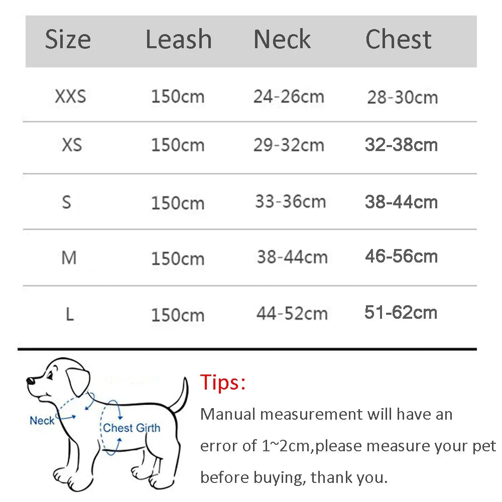 Summer Mesh Dog Harness Vest and Leash Set, Adjustable Puppy and Cat Harness with Chest Strap for Outdoor Walking