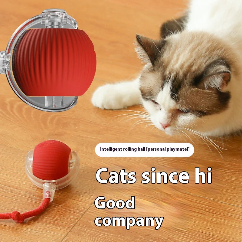 Smart Rechargeable Cat Toy Ball – Automatic Interactive Fun