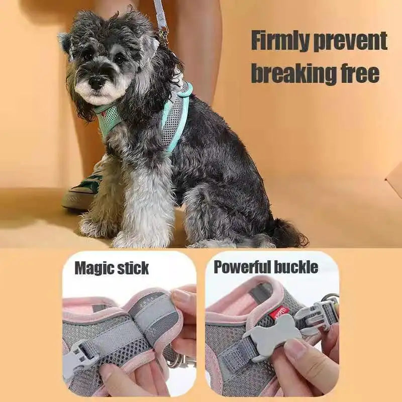 Dog Harness Vest and Leash Set, Reflective Breathable Adjustable Pet Harness for Small and Medium Dogs and Cats, Outdoor Walking