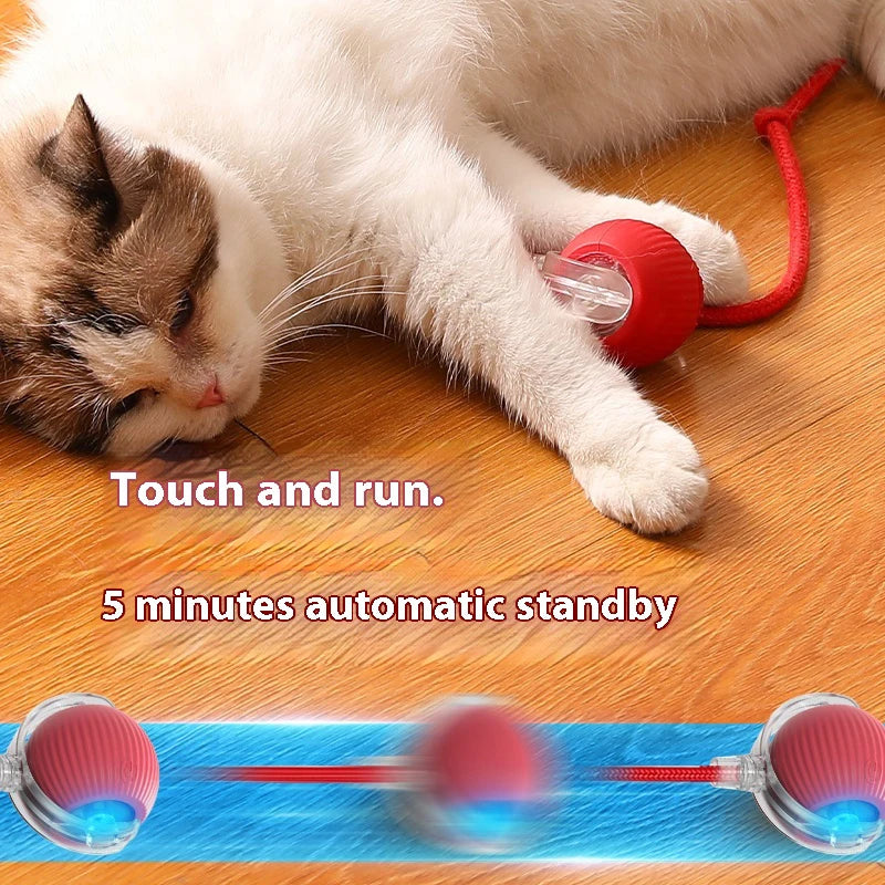 Smart Rechargeable Cat Toy Ball – Automatic Interactive Fun