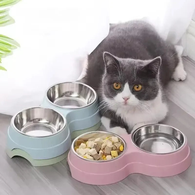 Double Pet Bowls Dog Food and Water Feeder, Stainless Steel Feeding Dish for Cats and Small Dogs, Non-Slip Feeding Station