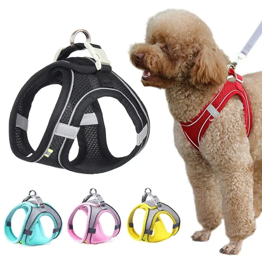 Summer Mesh Dog Harness Vest and Leash Set, Adjustable Puppy and Cat Harness with Chest Strap for Outdoor Walking