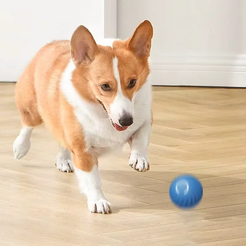 Intelligent Gravity Jump Ball, Rechargeable Rolling Pet Toy for Dogs and Cats, Bite-Resistant Interactive Chase Ball