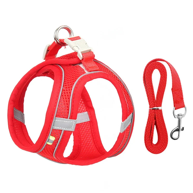 Summer Mesh Dog Harness Vest and Leash Set, Adjustable Puppy and Cat Harness with Chest Strap for Outdoor Walking