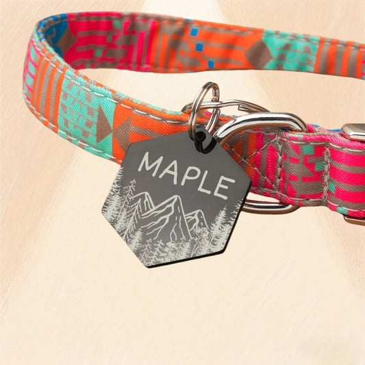 Personalized Hexagon Dog Tag, Stainless Steel Pet ID Collar Tag with Mirror Finish, Rust Proof, Long Lasting Name Tag Gift, 4 Colors