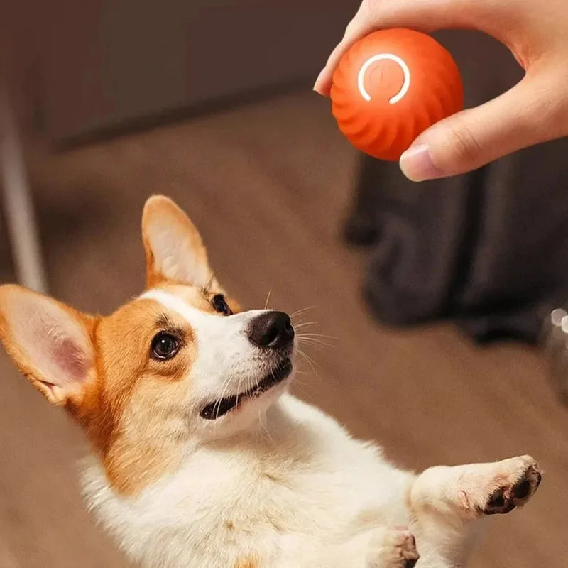 Automatic Moving Bouncing Dog Toy Ball, USB Rechargeable Smart Interactive Puppy Chew Ball for Indoor Play and Exercise