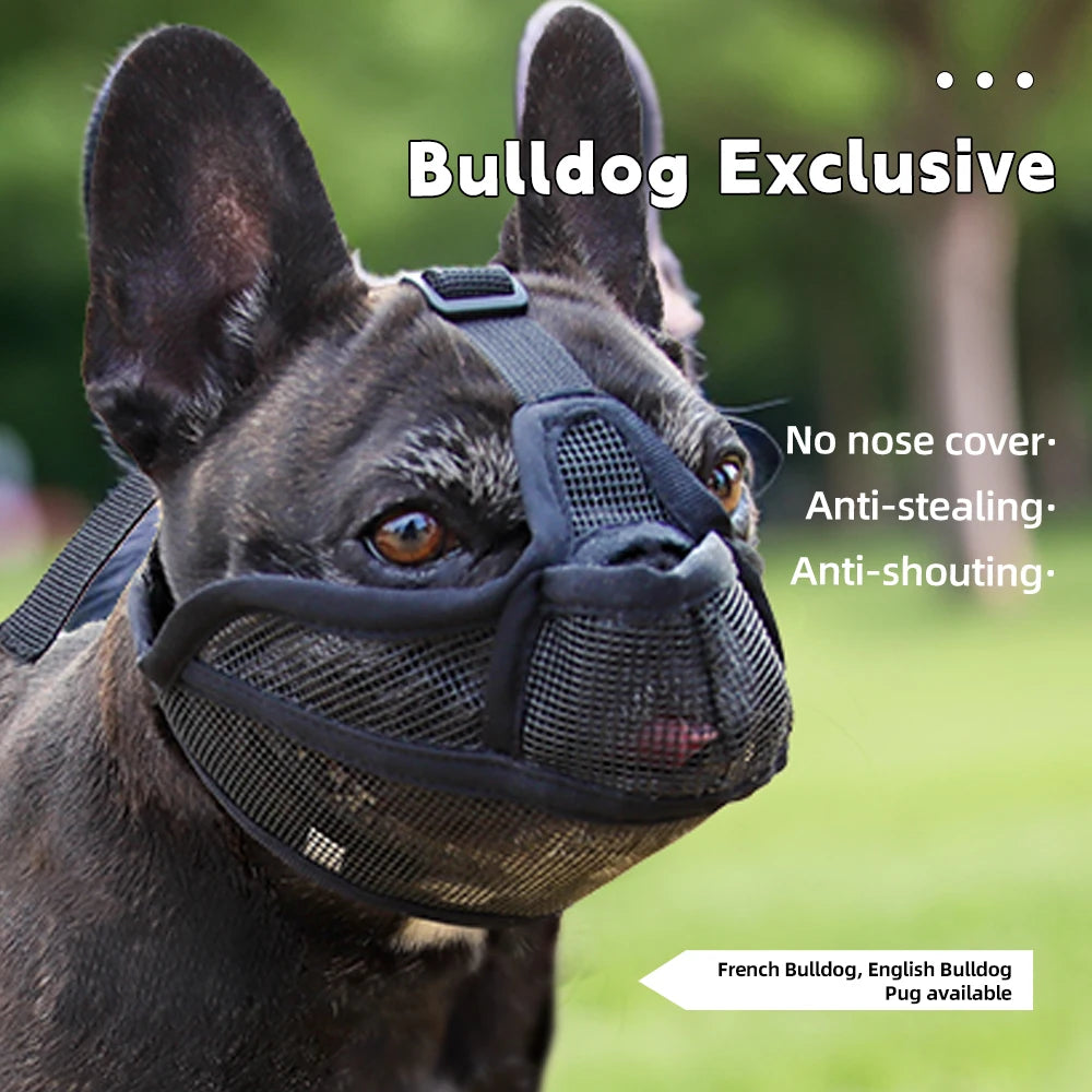 Short-Snouted Dog Muzzle – Breathable Anti-Biting Snout Cover for Bulldogs, Shar Pei, Short-Mouthed Dogs, Walking & Drinking