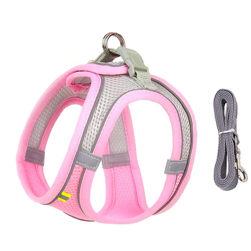 Summer Mesh Dog Harness Vest and Leash Set, Adjustable Puppy and Cat Harness with Chest Strap for Outdoor Walking