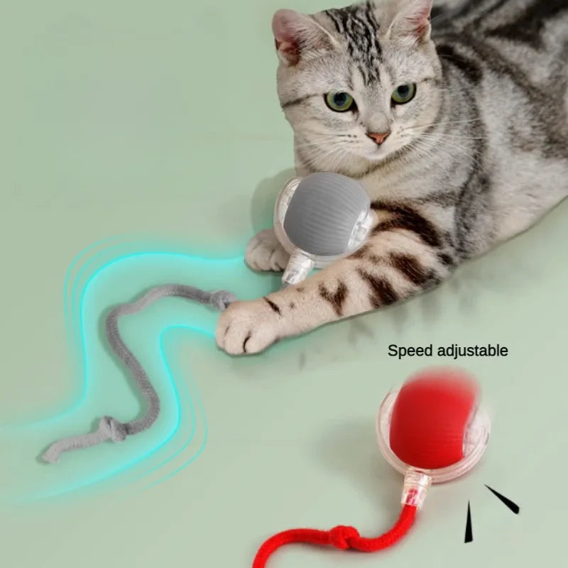 Smart Rechargeable Cat Toy Ball – Automatic Interactive Fun