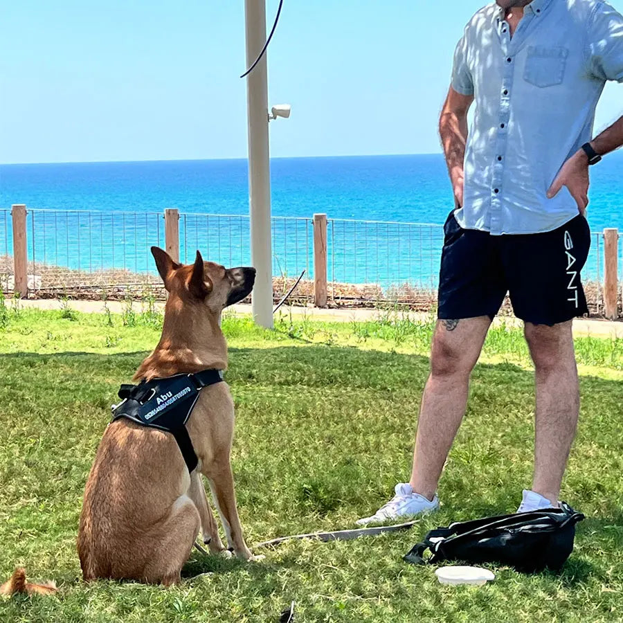 Dog Harness Vest with ID Patch, Customized Reflective Adjustable No-Pull Pet Harness for Outdoor Walking, Breathable Vest for Dogs