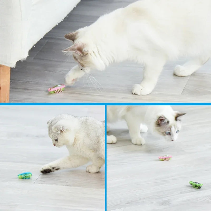 Mini Electric Bug Cat Toy, Interactive Ladybird Beetle Walking Insect Toy for Cats and Dogs, Cute Pet Playing Supplies