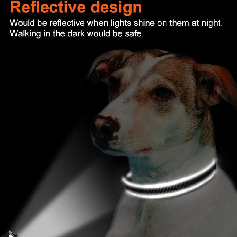 Reflective Dog Collar, Sturdy Adjustable Nylon Pet Collar with Soft Neoprene Padding for Medium and Large Dogs