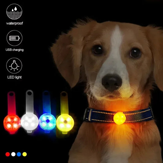 LED Dog Collar with Weatherproof Safety Light, USB Rechargeable Pet Loss Prevention Collar for Dogs and Cats, Night Visibility