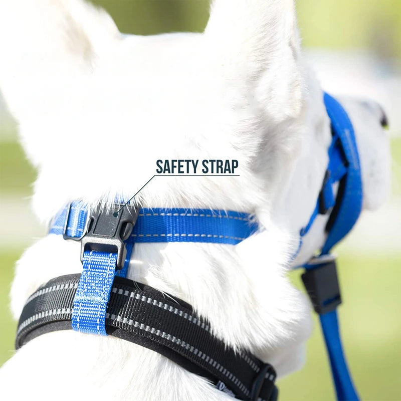 Adjustable Dog Muzzle, Breathable Pet Mouth Cover for Training and Walking, Suitable for Small Medium and Large Dogs