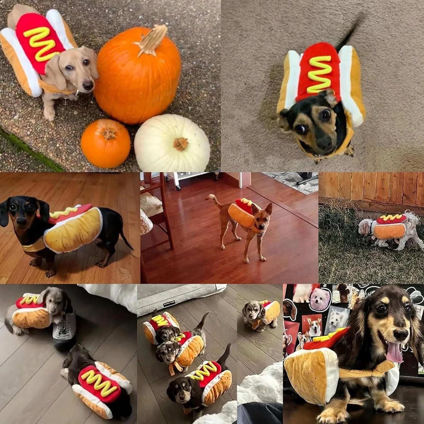 Funny Halloween Dog Costume, Hot Dog Shaped Dachshund Sausage Outfit, Adjustable Pet Clothes and Apparel for Dogs and Cats, Party Costume Suit