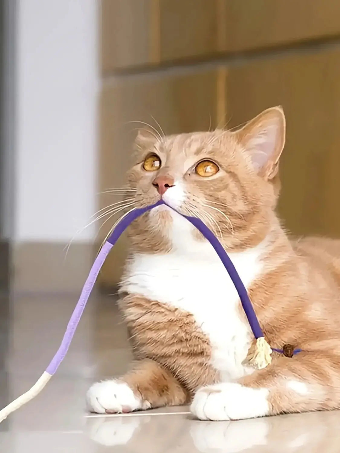 Cat Bite Rope Toy, Durable Rope Teaser Toy for Cats, Teeth Grinding and Chewing Toy for Indoor Play
